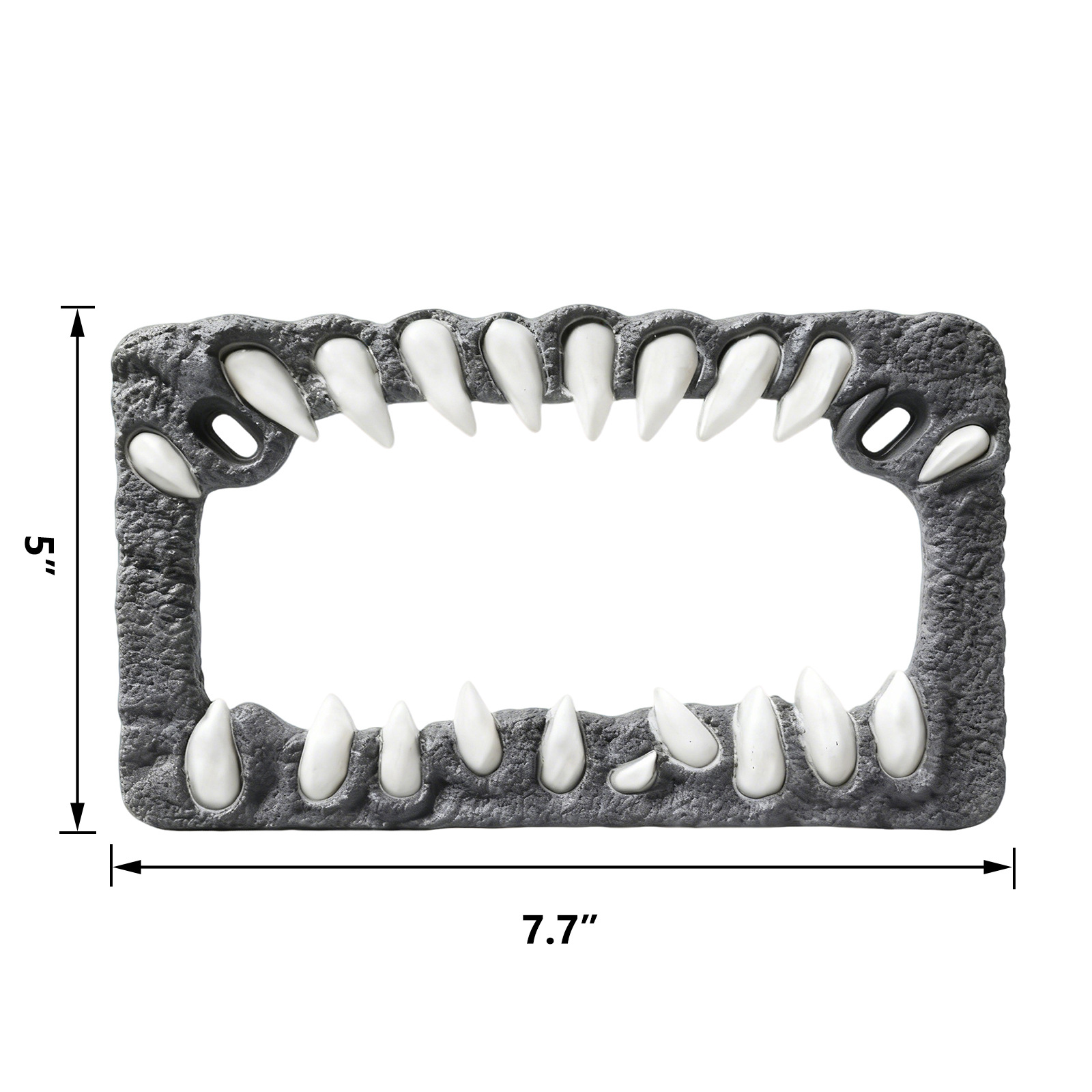 20261005063607_IBC31.jpg