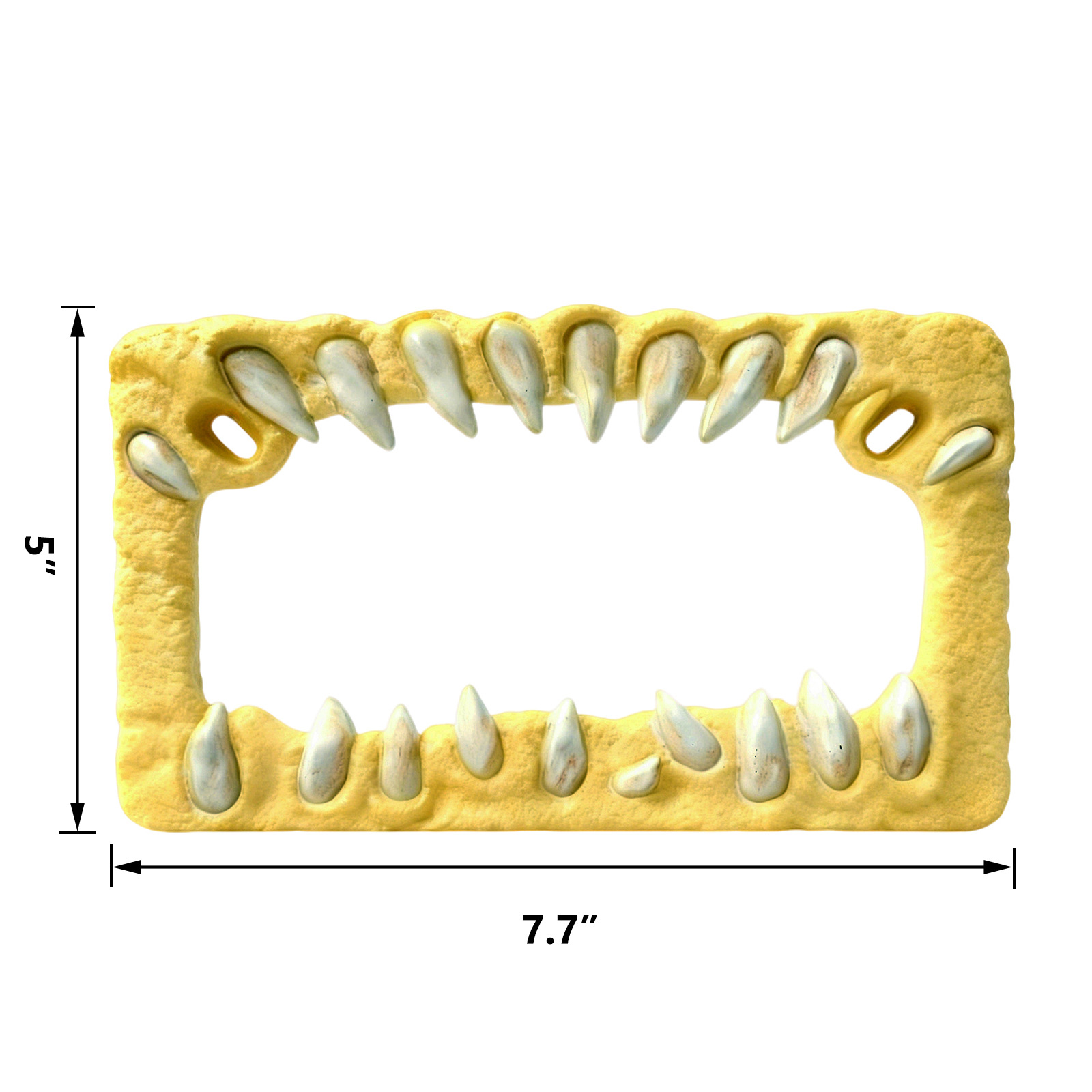 20261005063608_5bi7E.jpg