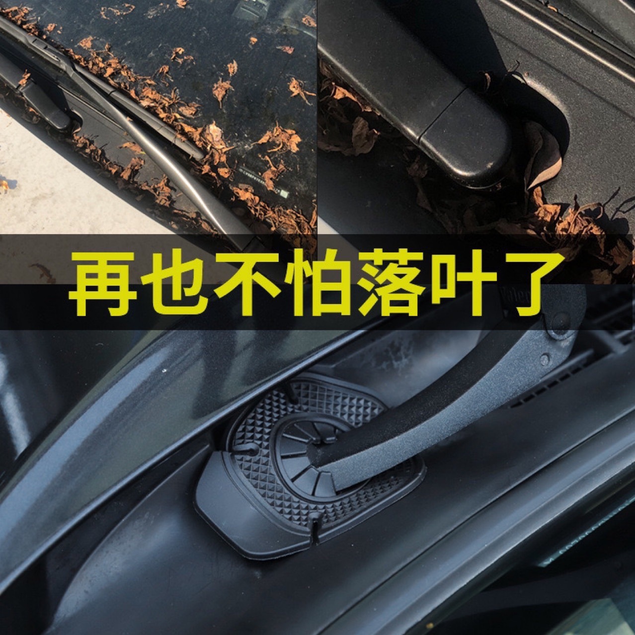 20261005123957_r8x57.jpg
